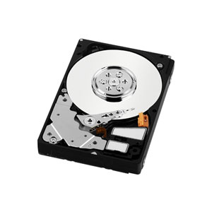 WD s25 